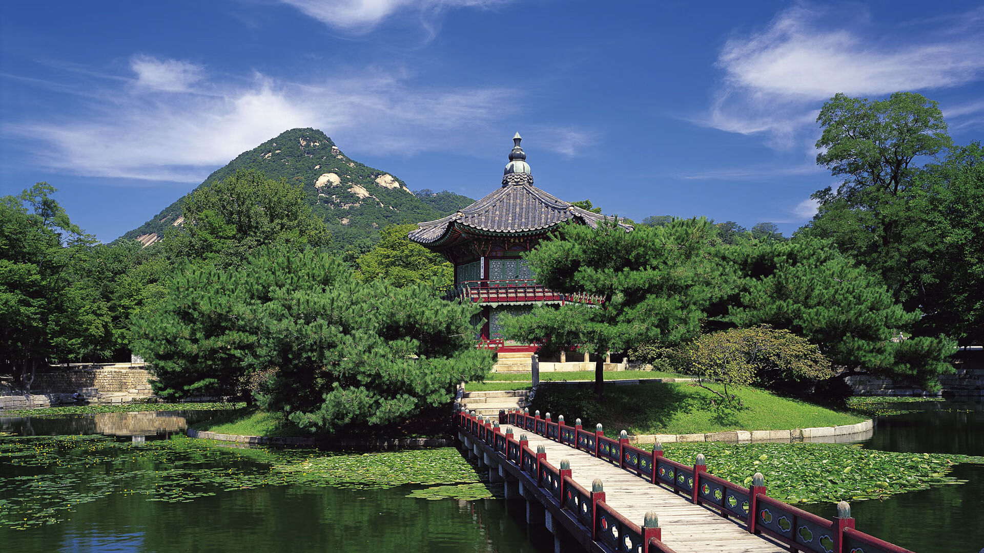 死神降临！莫兰特关键一投绝杀浙江，这一刻他让整座球馆窒息