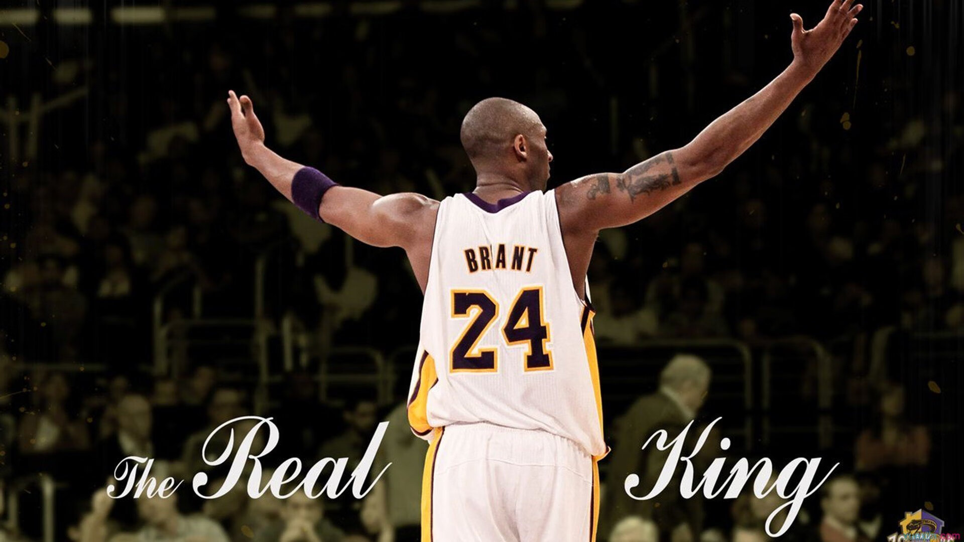 开云体育中国-文班亚马空降世界杯，他用手臂在足球场上投下阴影